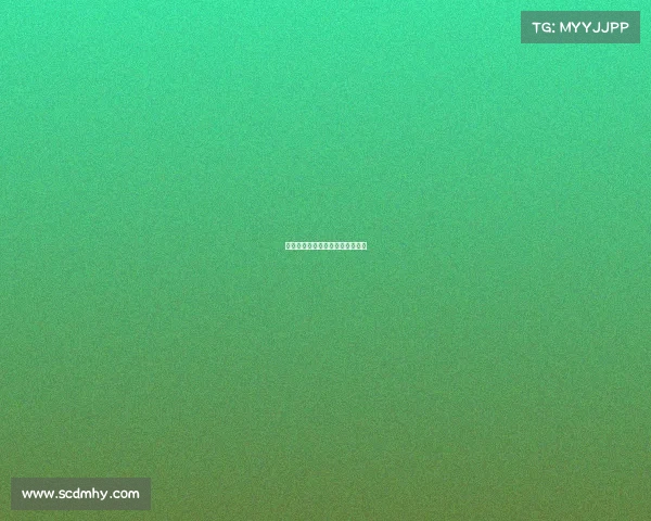 白鲨编年史：穿越火线的荣光之路